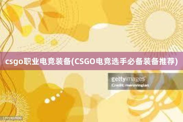 csgo职业电竞装备(CSGO电竞选手必备装备推荐)