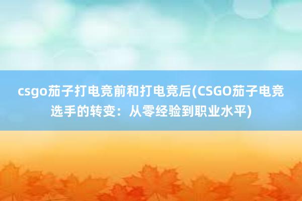 csgo茄子打电竞前和打电竞后(CSGO茄子电竞选手的转变：从零经验到职业水平)