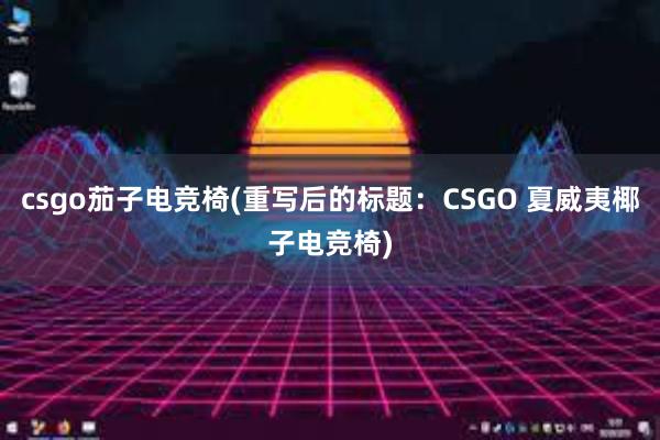 csgo茄子电竞椅(重写后的标题：CSGO 夏威夷椰子电竞椅)