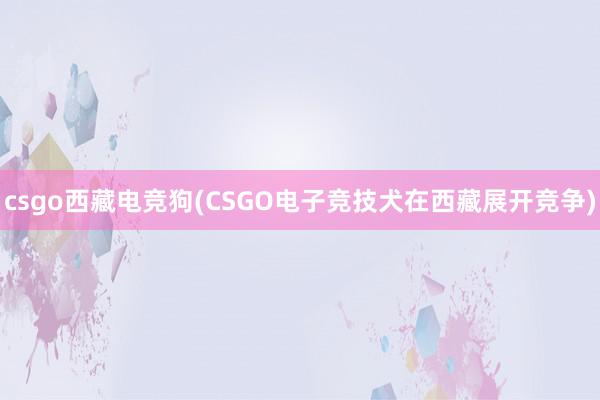 csgo西藏电竞狗(CSGO电子竞技犬在西藏展开竞争)