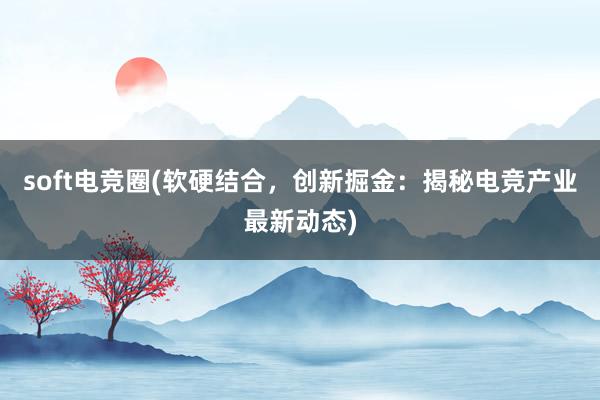 soft电竞圈(软硬结合，创新掘金：揭秘电竞产业最新动态)