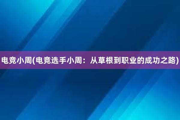 电竞小周(电竞选手小周：从草根到职业的成功之路)