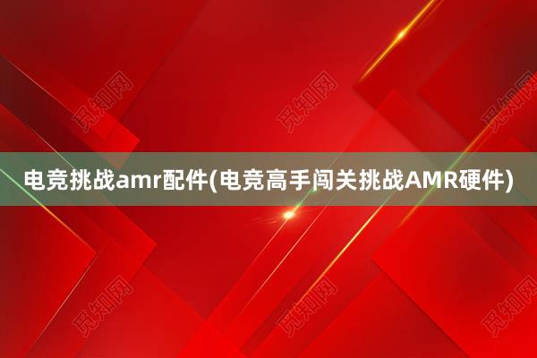 电竞挑战amr配件(电竞高手闯关挑战AMR硬件)