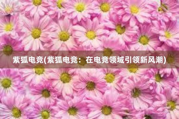 紫狐电竞(紫狐电竞：在电竞领域引领新风潮)