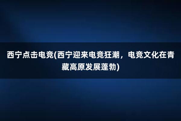 西宁点击电竞(西宁迎来电竞狂潮，电竞文化在青藏高原发展蓬勃)