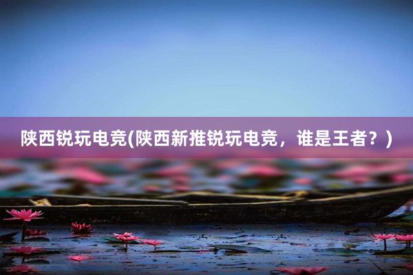 陕西锐玩电竞(陕西新推锐玩电竞，谁是王者？)