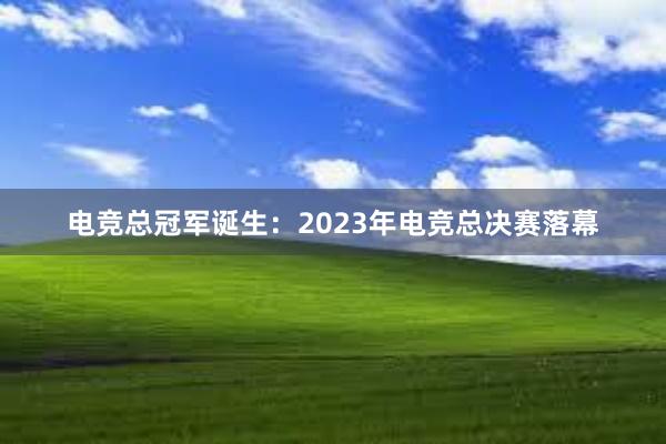 电竞总冠军诞生：2023年电竞总决赛落幕