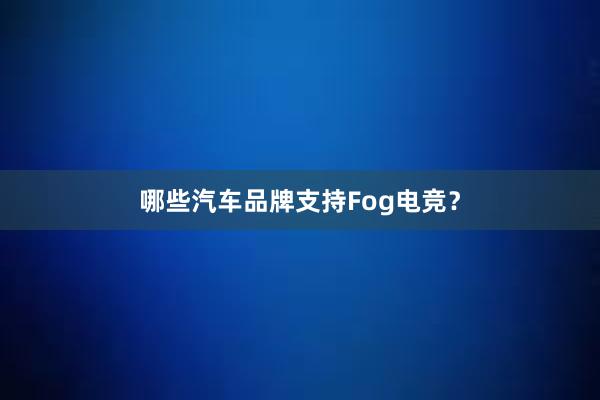 哪些汽车品牌支持Fog电竞？