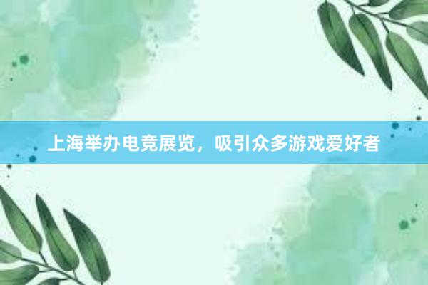 上海举办电竞展览，吸引众多游戏爱好者