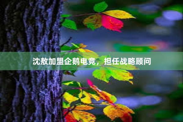 沈敖加盟企鹅电竞，担任战略顾问