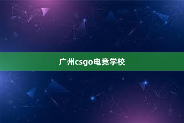 广州csgo电竞学校