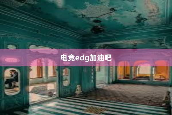 电竞edg加油吧