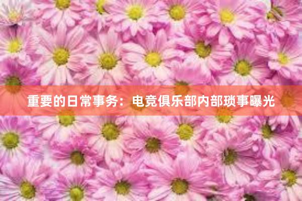 重要的日常事务：电竞俱乐部内部琐事曝光