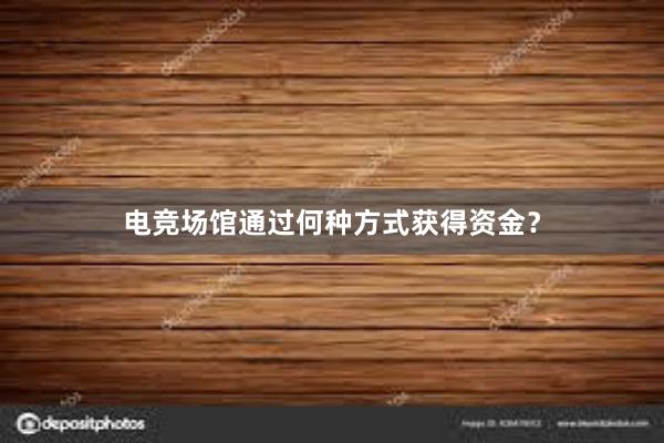 电竞场馆通过何种方式获得资金？