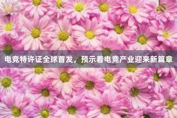 电竞特许证全球首发，预示着电竞产业迎来新篇章