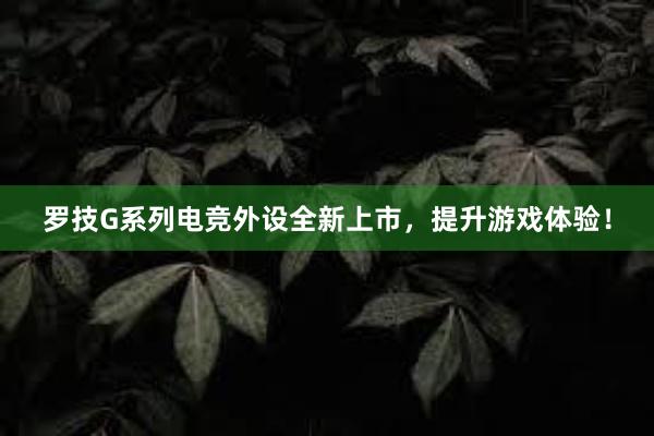 罗技G系列电竞外设全新上市，提升游戏体验！